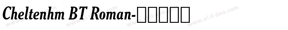 Cheltenhm BT Roman字体转换
